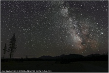 Milkyway Sawtooth