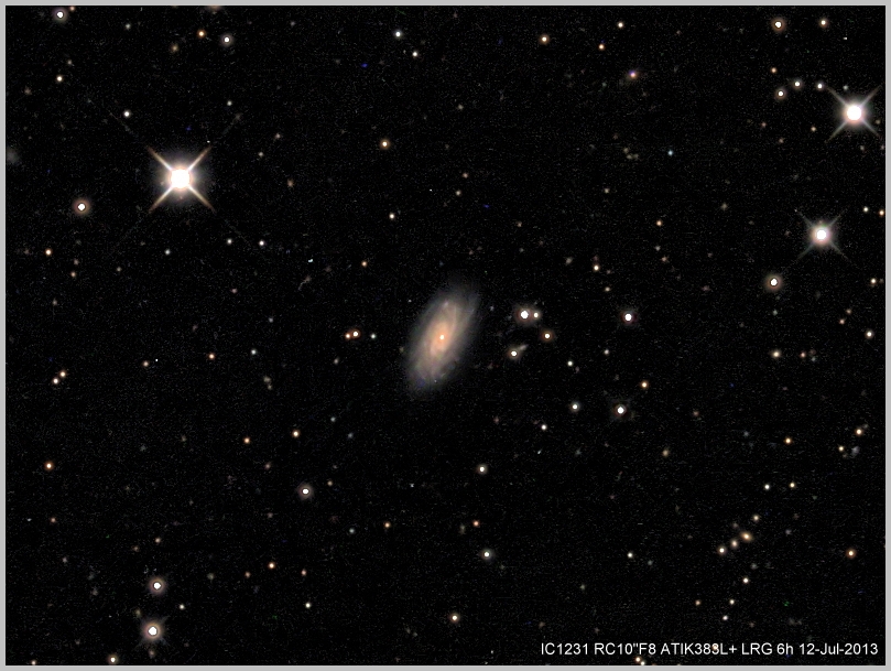 IC1231