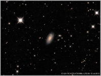 IC1231