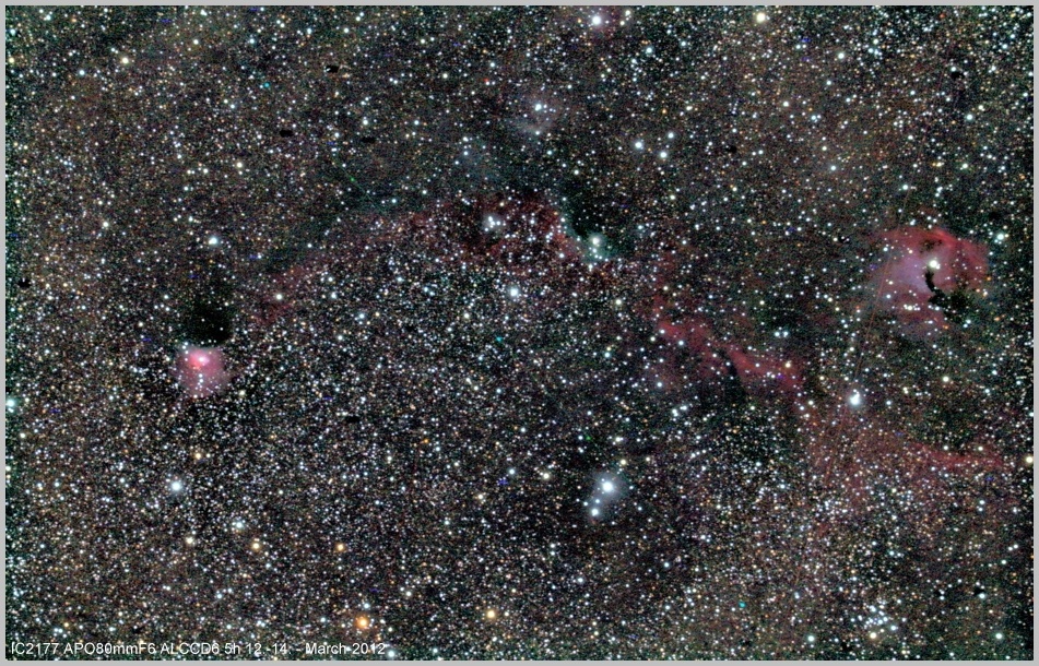 IC2177