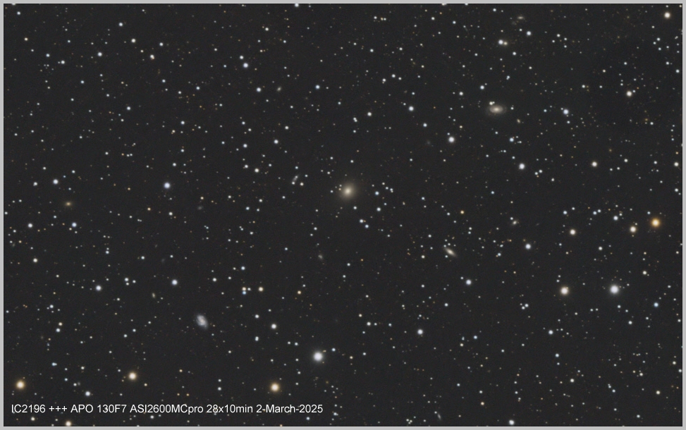 IC2196 group