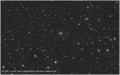 IC2196 group