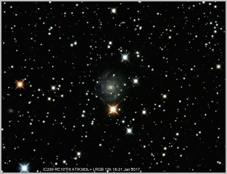 IC239