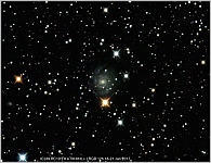 IC239