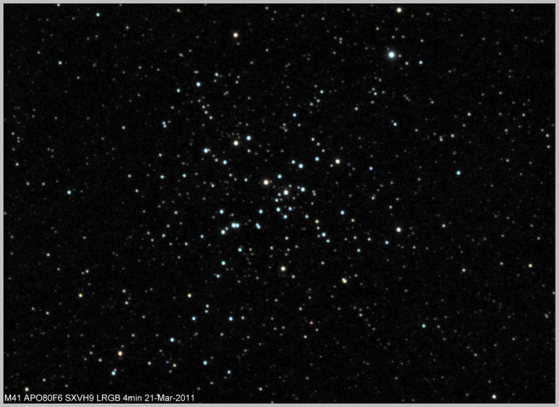 M41