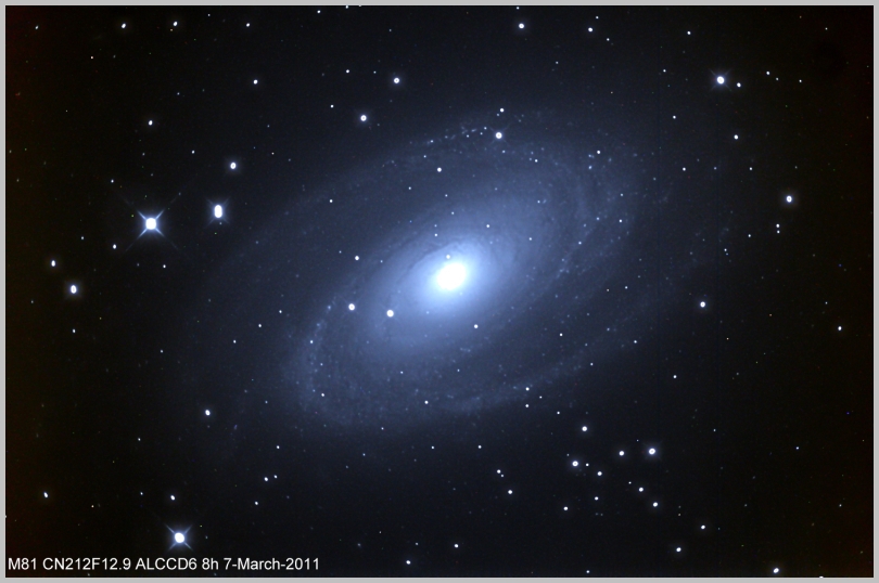 M81