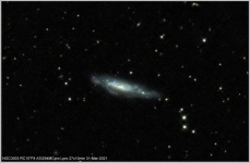 NGC3003