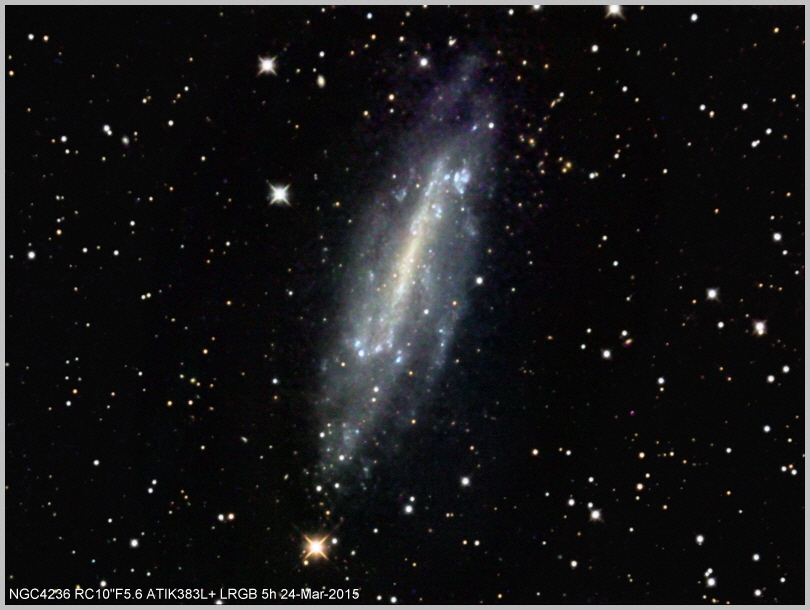 NGC4236