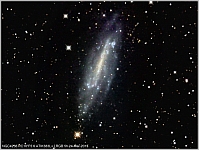 NGC4236