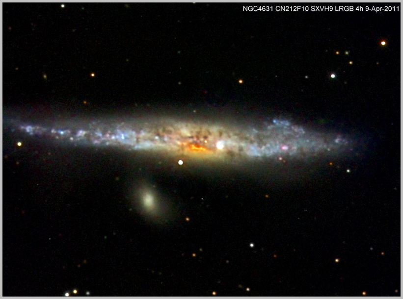 NGC4631