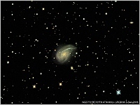 NGC772